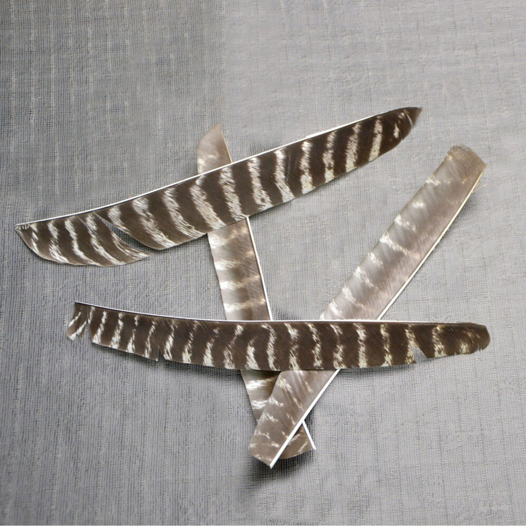 Natural Turkey Feather Right Left Wings DIY Arrows Fletching 50X