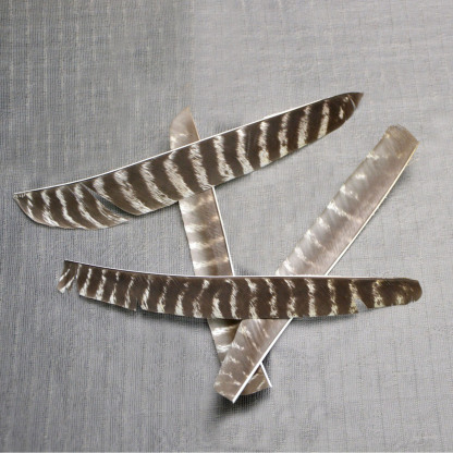 Natural Turkey Feather Right Left Wings DIY Arrows Fletching 50X