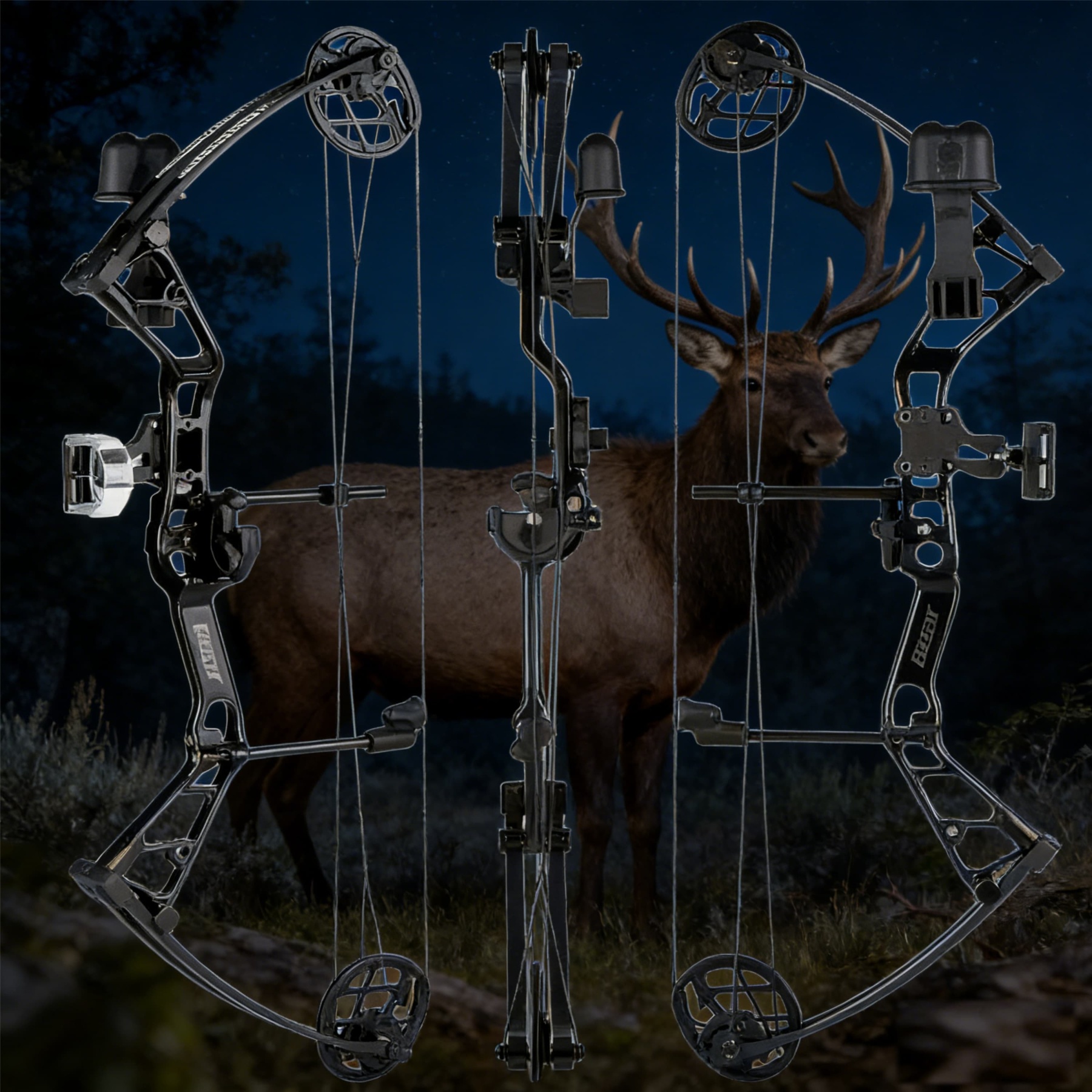 BEAR Archery Youth Compound Bow 15-40lbs Target Kit Shooting