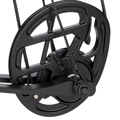 BEAR Archery Youth Compound Bow 15-40lbs Target Kit Shooting