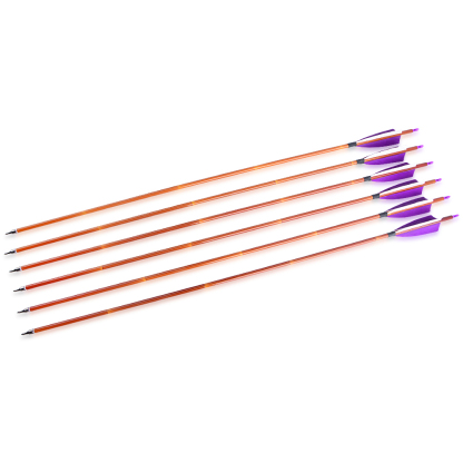 12pcs 30" Mixed Carbon Bamboo Pattern Arrows with 12 Extra Cross-Star Arrowheads – Multi-Color Feather Set