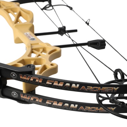Compound Bow Archery 40-70lbs 80% let off