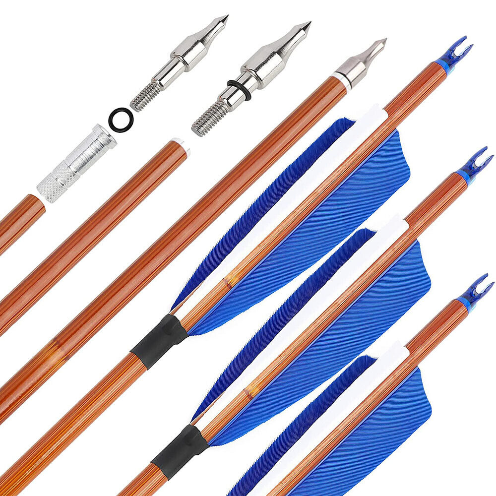 DE 12pcs 30in Mixed Carbon Arrows Spine 500 Archery Shooting