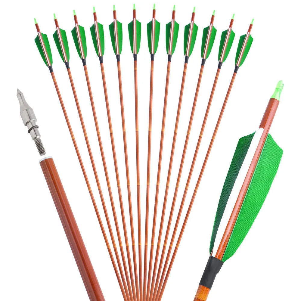 DE 12pcs 30in Mixed Carbon Arrows Spine 500 Archery Shooting