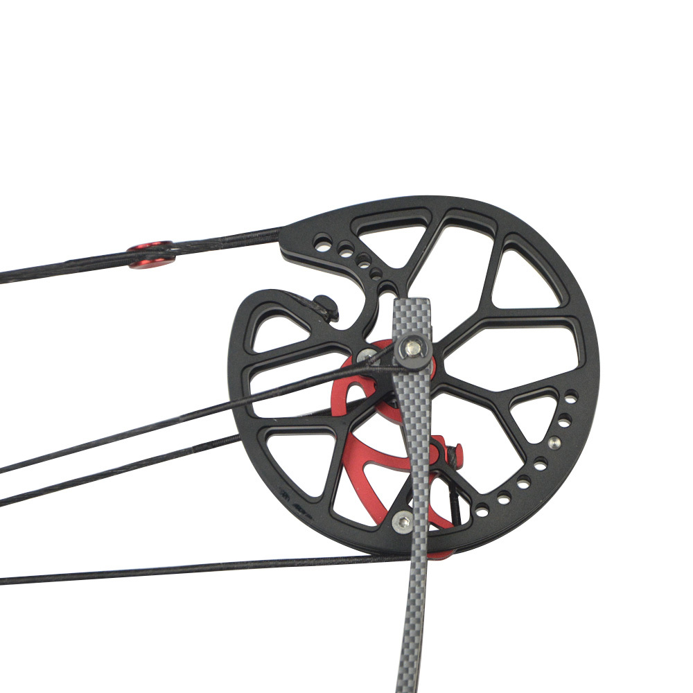 30-60lbs Dual -ues Compound Bow RH/LH Archery Shooting