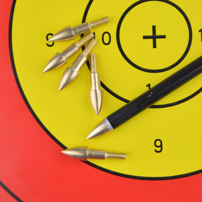 100Gr Stainless Steel Screw-in Broadhead Arrowhead Tip Hunting Target