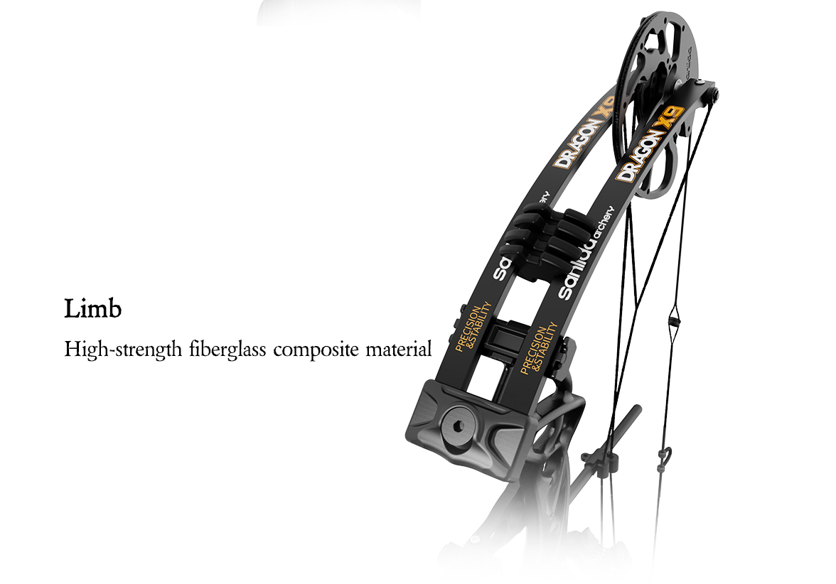 SANLIDA ARCHERY Dragon X9 Intermediate Hunting Compound Bow Pro Kit