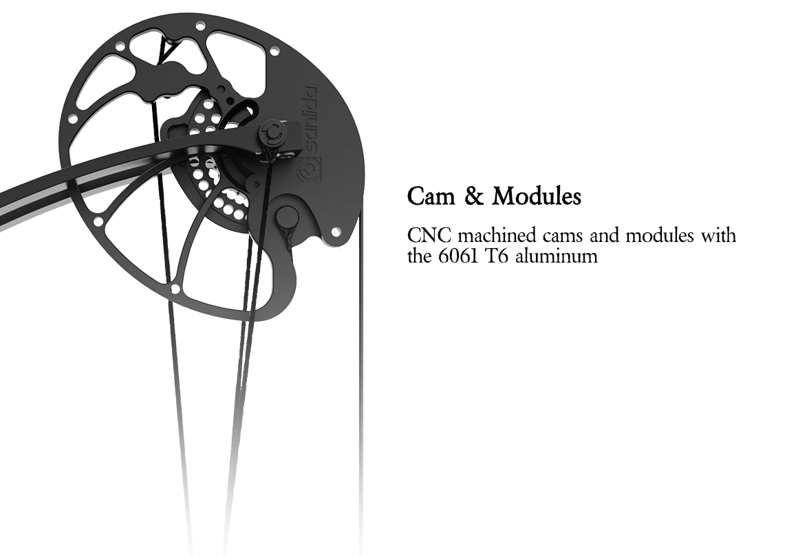 SANLIDA ARCHERY Dragon X9 Intermediate Hunting Compound Bow Pro Kit