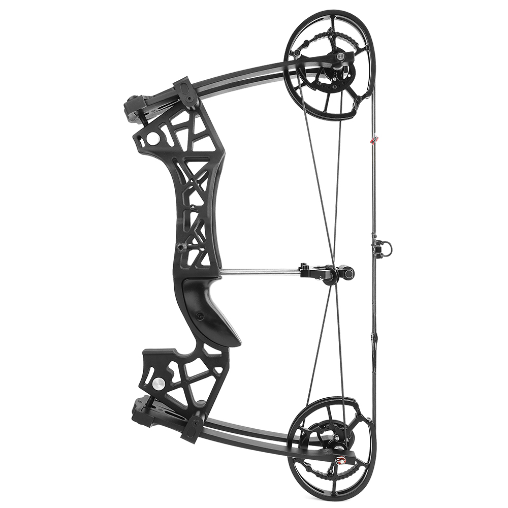 Dual Use Compound Bow CNC 40-65lbs Carbon Arrows Steel Platform
