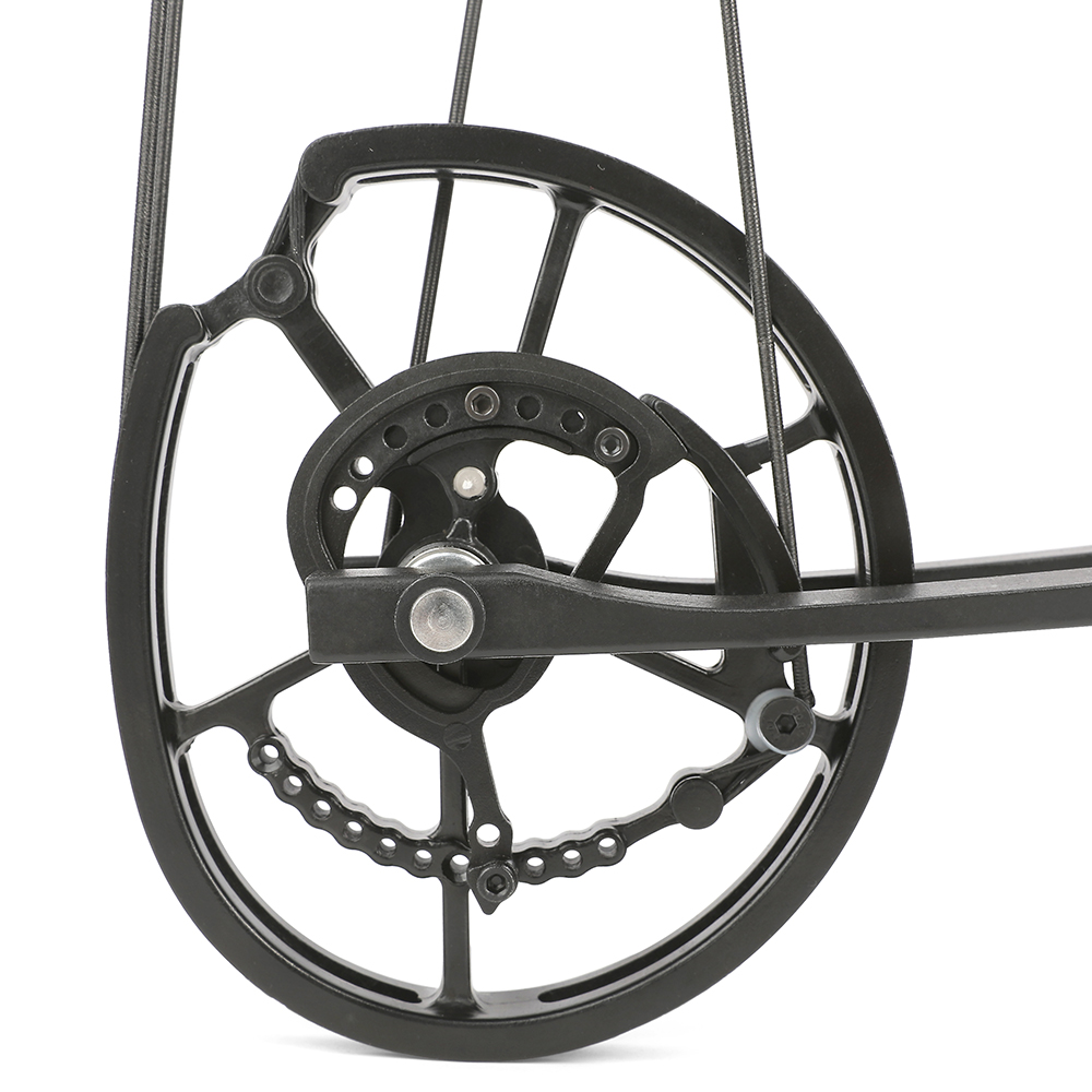 Dual Use Compound Bow CNC 40-65lbs Carbon Arrows Steel Platform