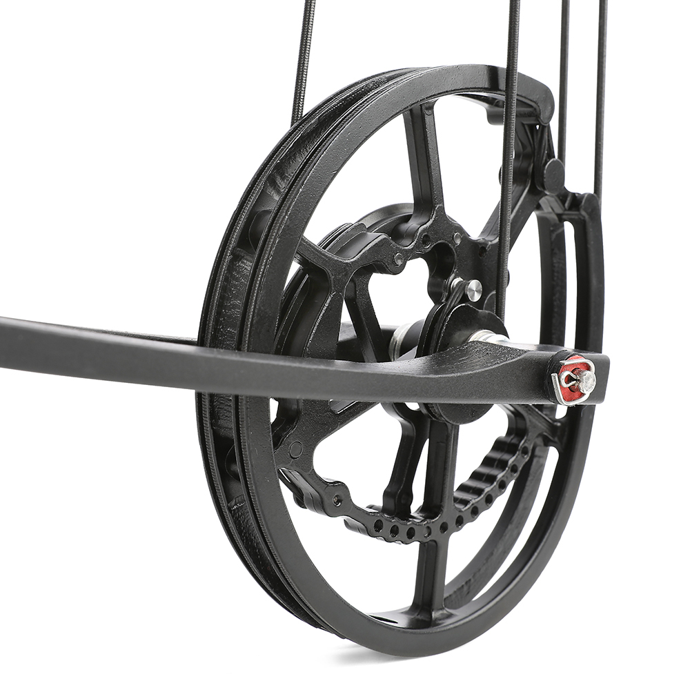 Dual Use Compound Bow CNC 40-65lbs Carbon Arrows Steel Platform