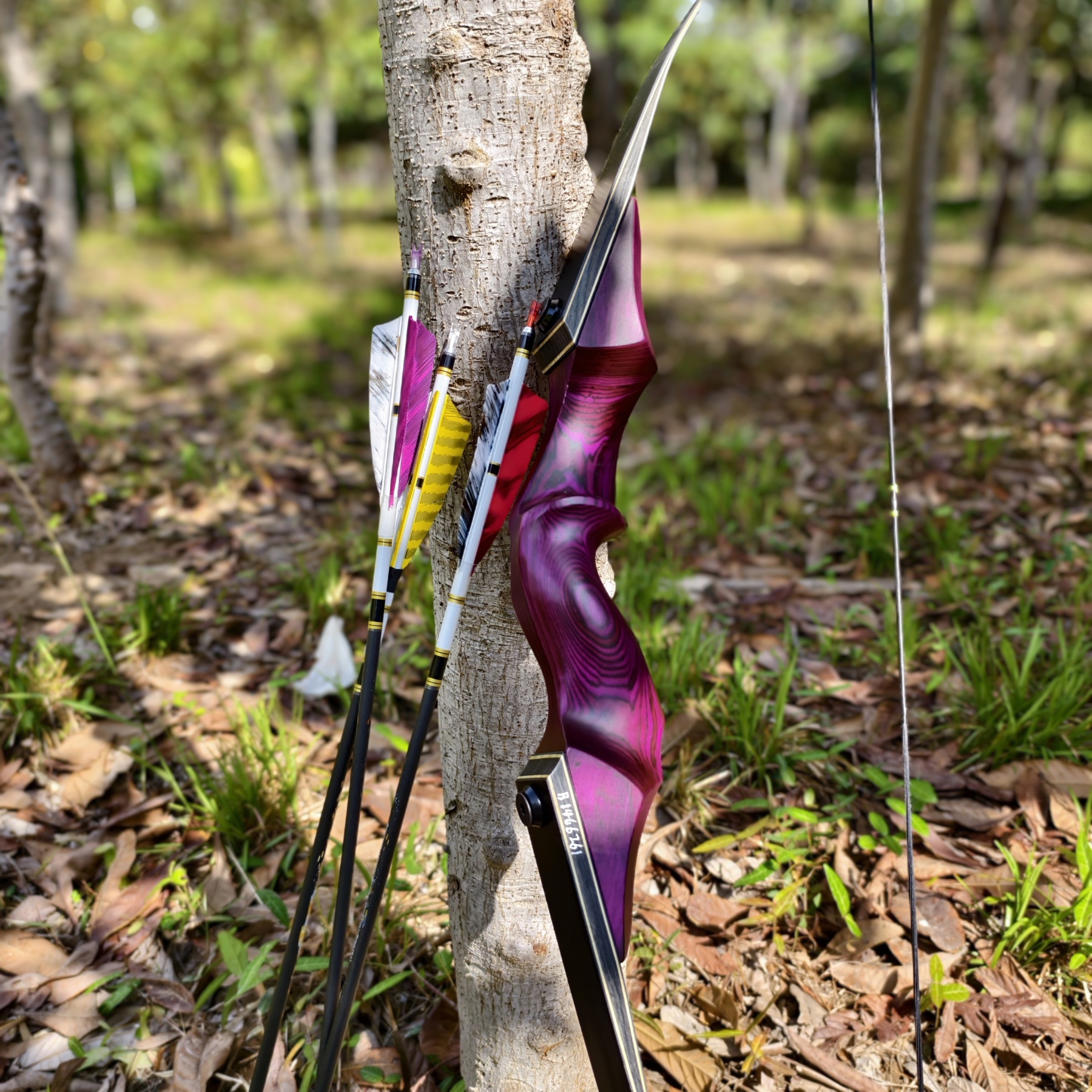 Blackhunter 60" Recurve Bow, 60 lbs, Purple, with Complete Archery Kit