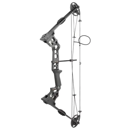Junxing Archery Dragon X8 Bow & Arrow Set