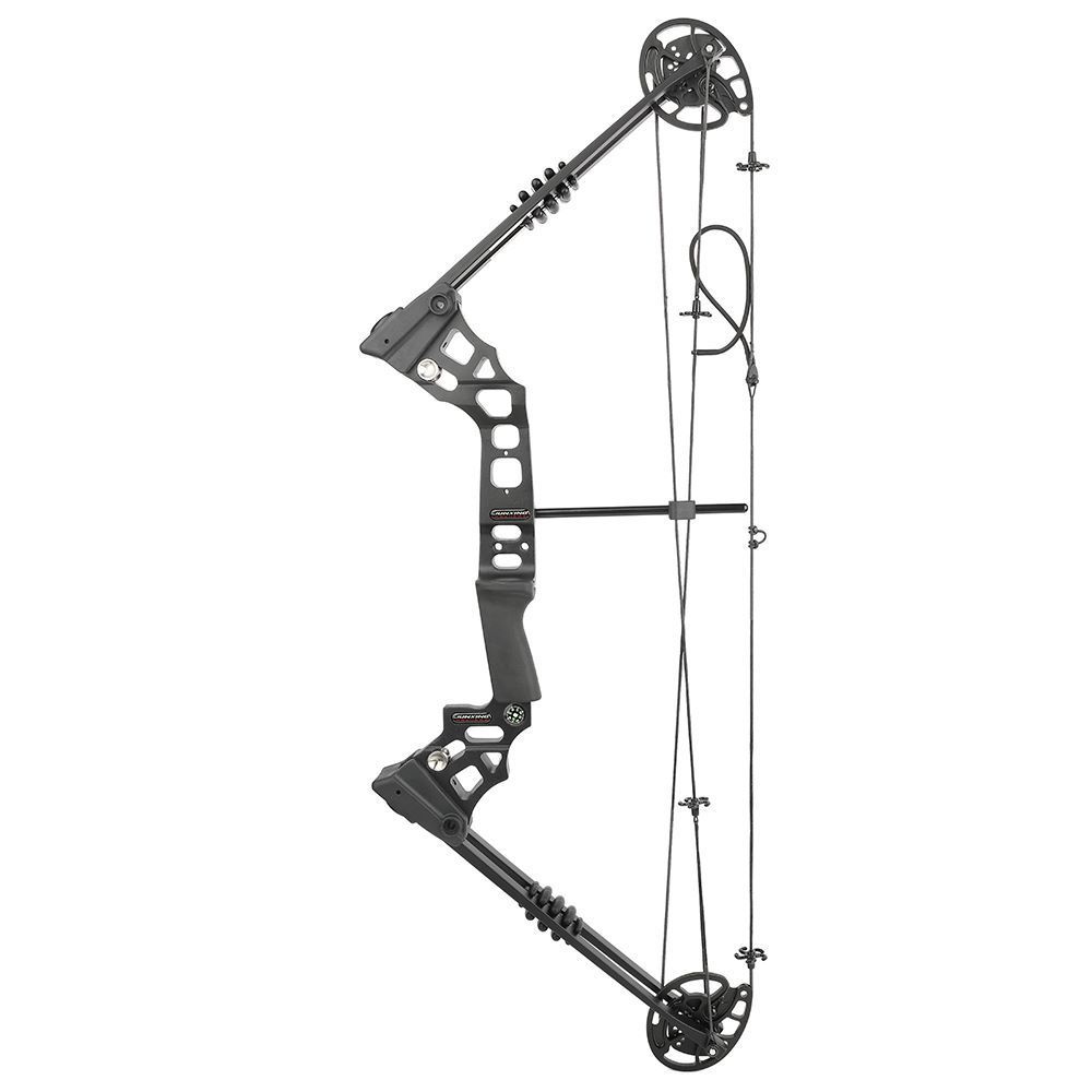 JUNXING ARCHERY Dragon X8 for hunting fishing Compound Bow Kit