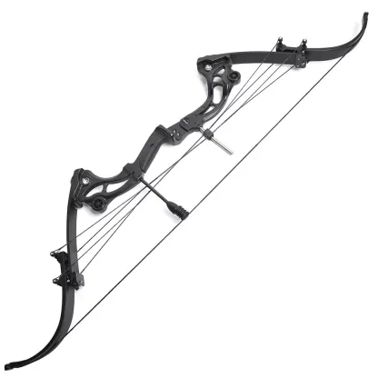 JUNXING F164 Compound Bow Set 40-55lbs Adjustable 320FPS  Bow Hunting Fishing