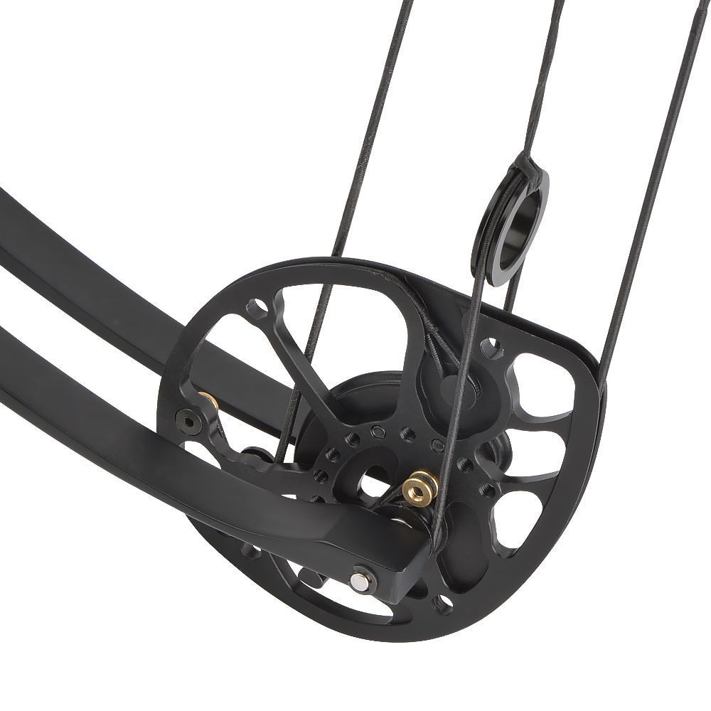 KAIMEI SWORD Target Compound Bow