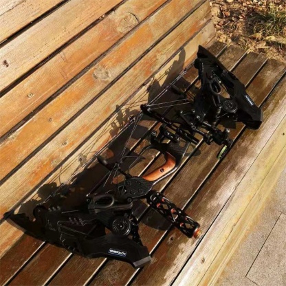 AME Archery Compound Bow 21.5-80lbs Target Kit Shooting