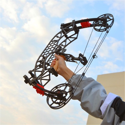 TUOLU Archery Dual-Use Compound Bow 35-65lbs Adjustable