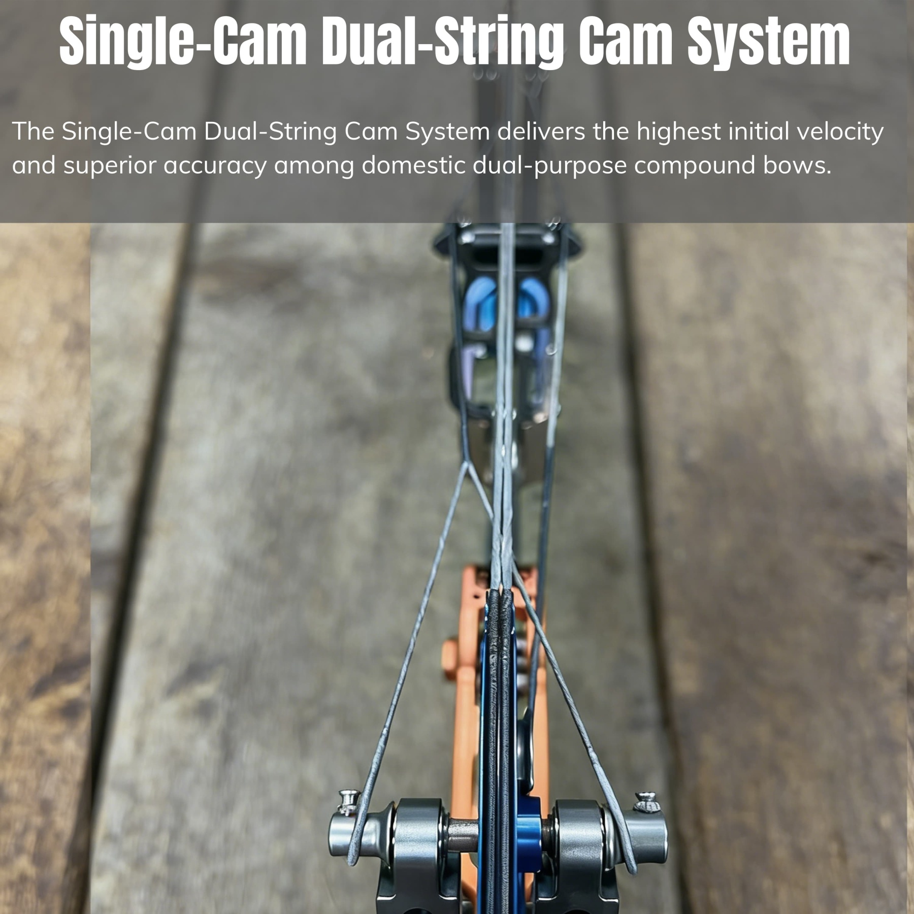 WOLF LEADER Archery Compound Bow 45-70lbs Target Kit Hunting