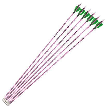 Fire Fox 2-inch Heart-Shaped True Feather Pure Carbon Arrows(12pcs)