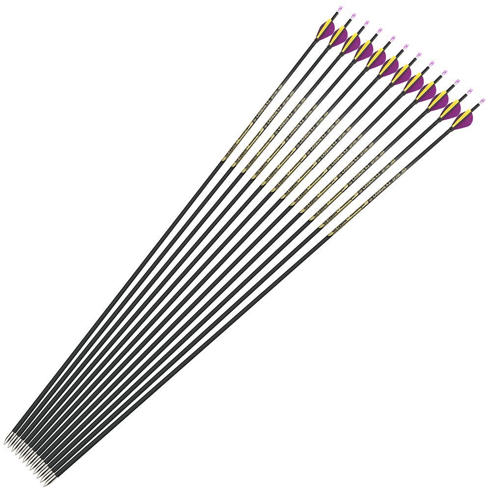 AME ARCHERY 2-Inch Drop-Shaped Nature Feather Pure Carbon Arrows – Spine 700–1000, 0.001'' (12pcs)