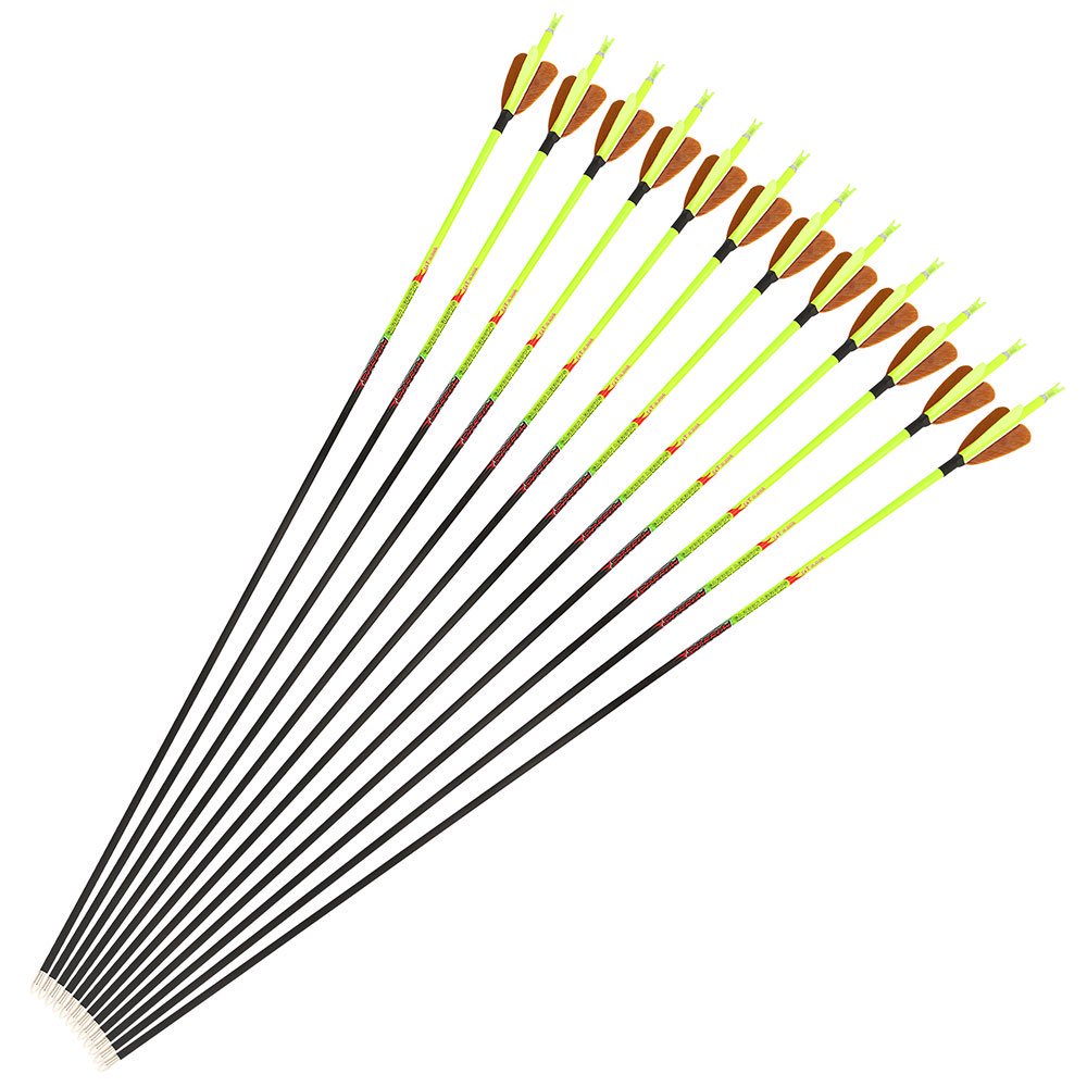 AME ARCHERY Heart-Shaped Nature Feather Pure Carbon Yellow Arrows(12pcs)