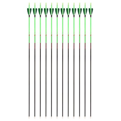AME ARCHERY Heart-Shaped Nature Feather Pure Carbon Green Arrows(12pcs)