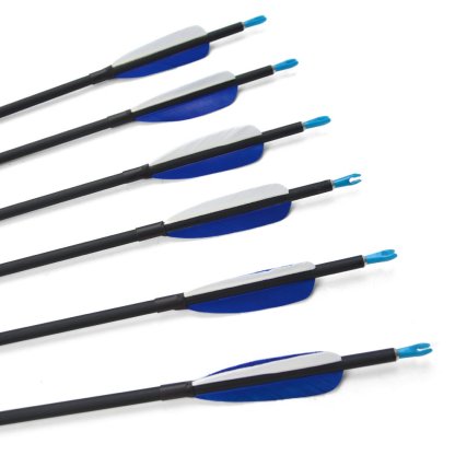 Clearance Sale 700 Spine 31'' Archery Carbon Arrows (12pcs)