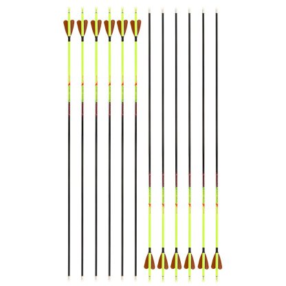 AME ARCHERY Heart-Shaped Nature Feather Pure Carbon Yellow Arrows(12pcs)