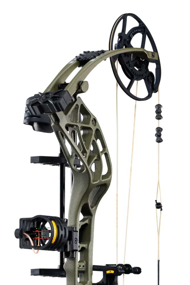 Bear Archery Whitetail INT RTH Compound Bow Kit