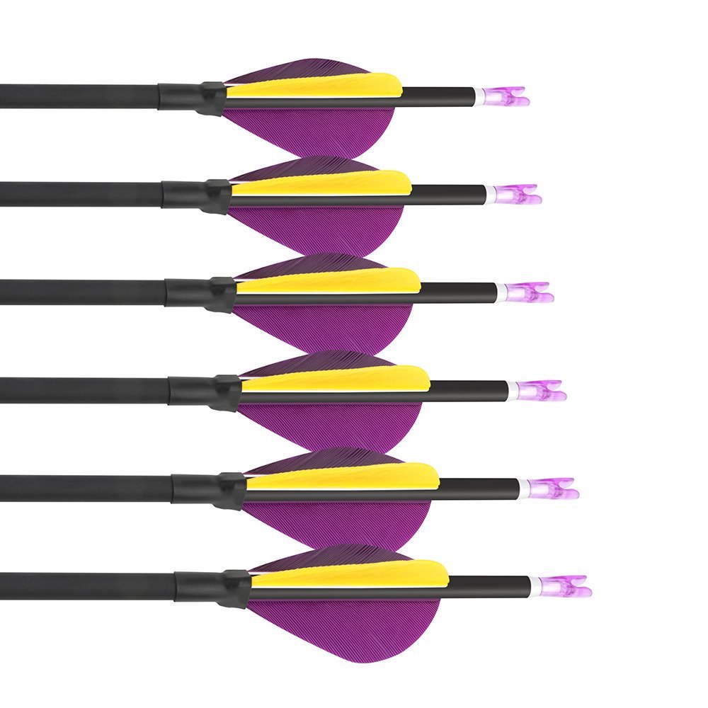AME ARCHERY 2-Inch Drop-Shaped Nature Feather Pure Carbon Arrows – Spine 700–1000, 0.001'' (12pcs)