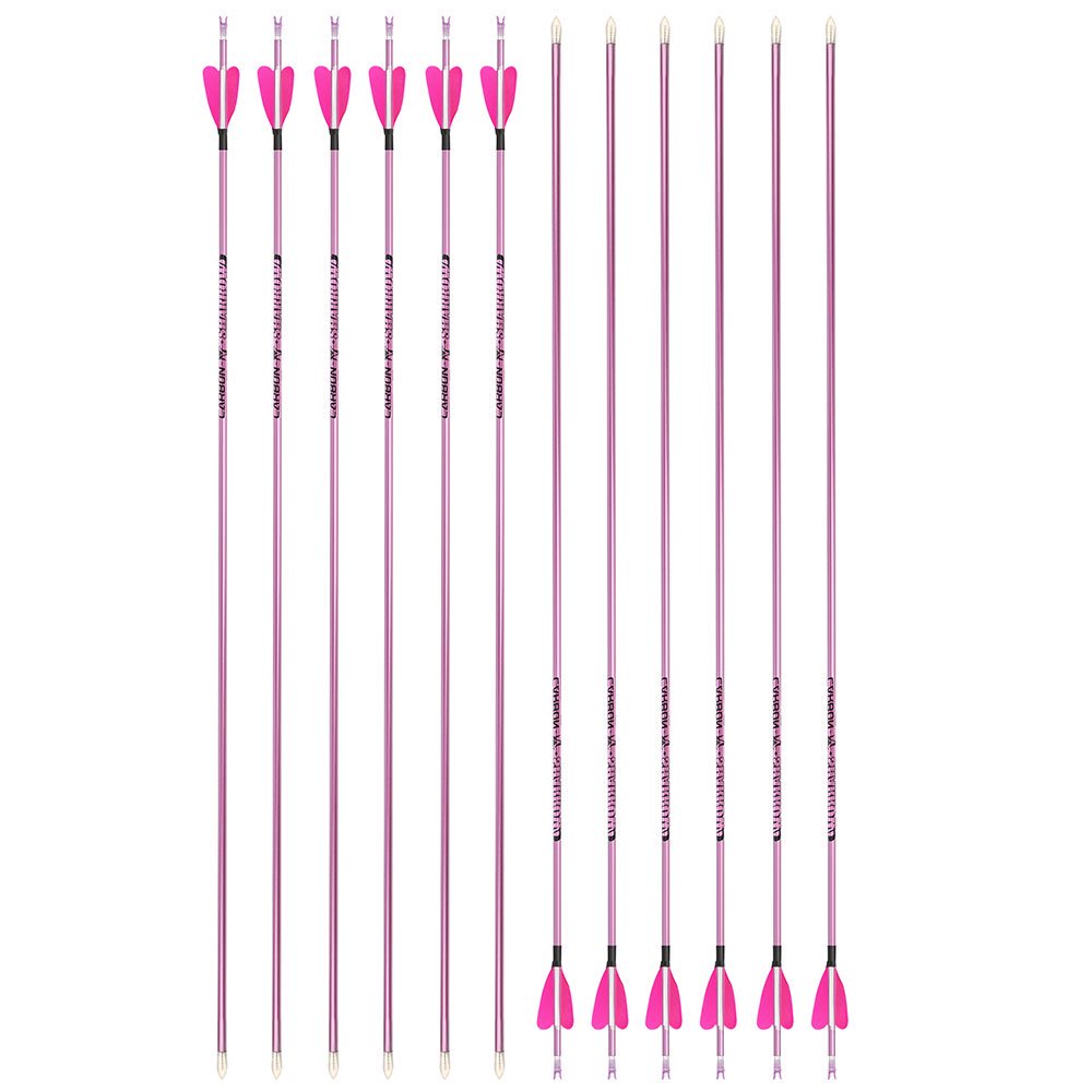 Fire Fox 2-inch Heart-Shaped True Feather Pure Carbon Arrows(12pcs)