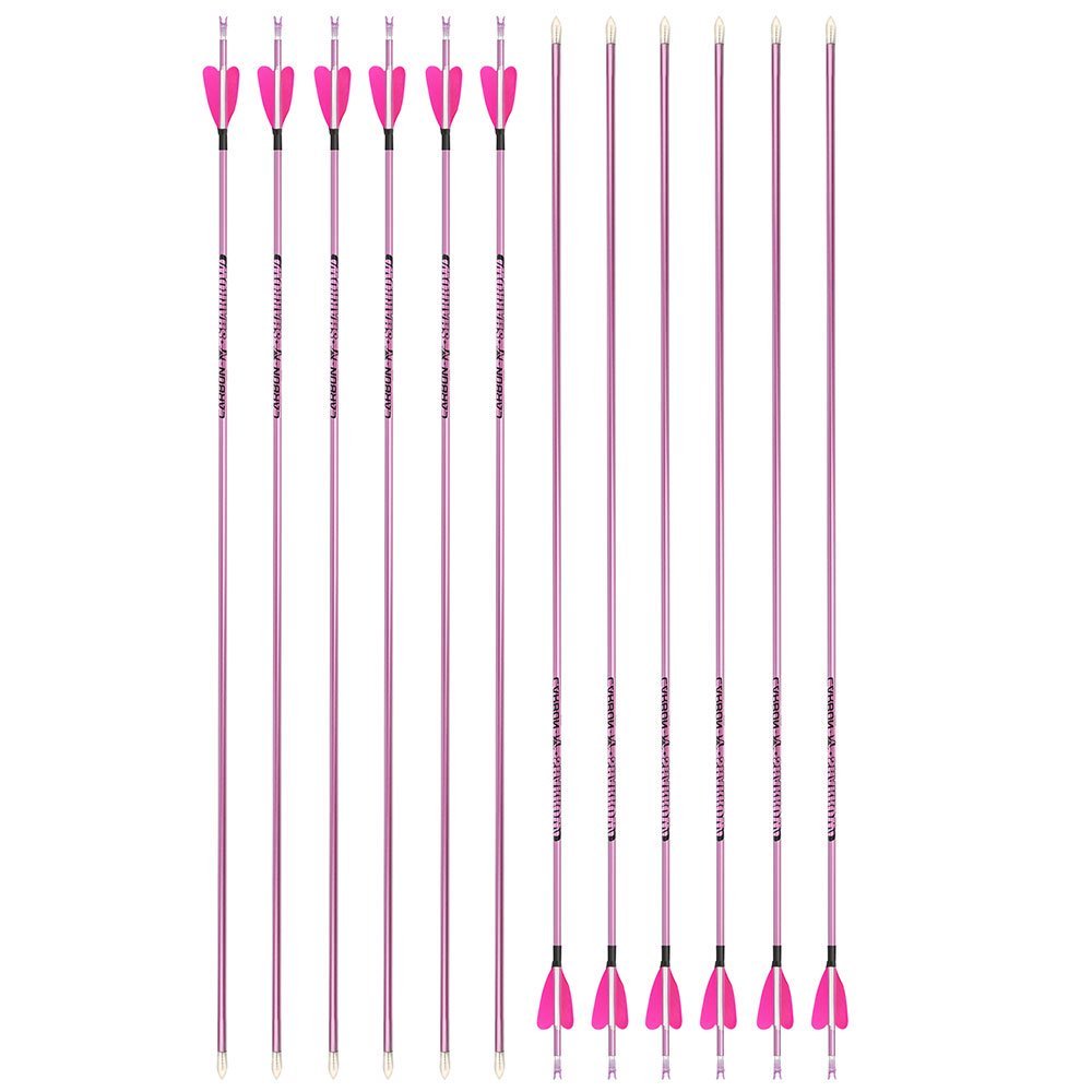 Fire Fox 2-inch Heart-Shaped True Feather Pure Carbon Arrows(12pcs)