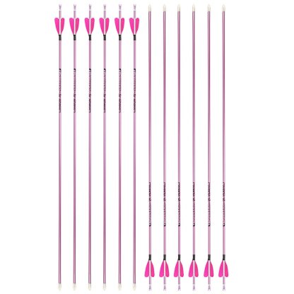 Fire Fox 2-inch Heart-Shaped True Feather Pure Carbon Arrows(12pcs)