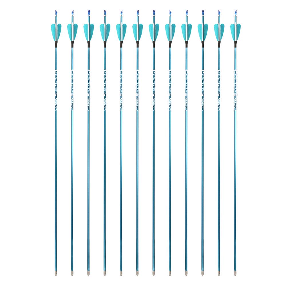 AME ARCHERY 1.75inch Fox 2" Heart-Shaped Feather Pure Carbon Arrows(12pcs)