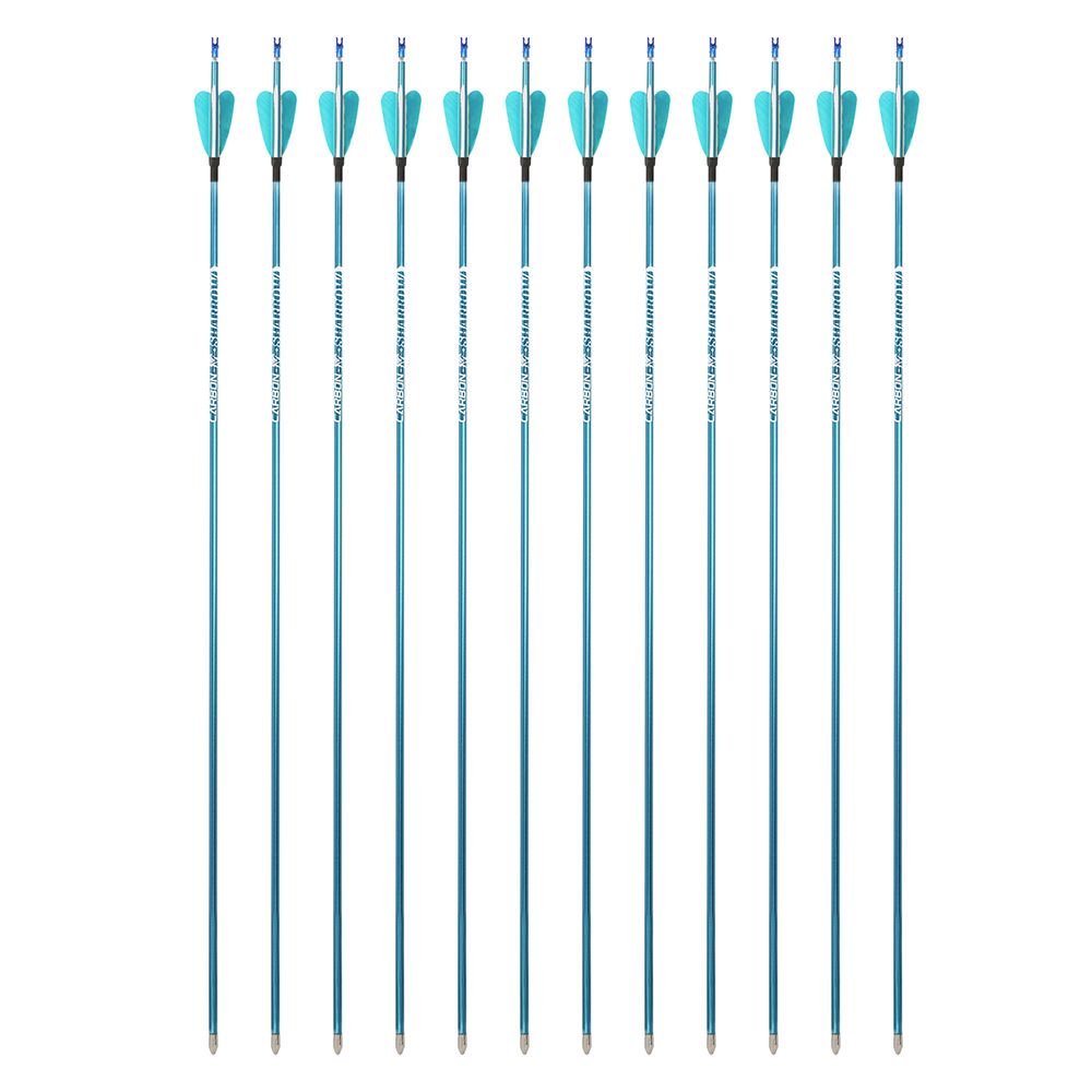 AME ARCHERY 1.75inch Fox 2" Heart-Shaped Feather Pure Carbon Arrows(12pcs)