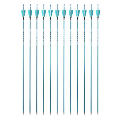AME ARCHERY 1.75inch Fox 2" Heart-Shaped Feather Pure Carbon Arrows(12pcs)