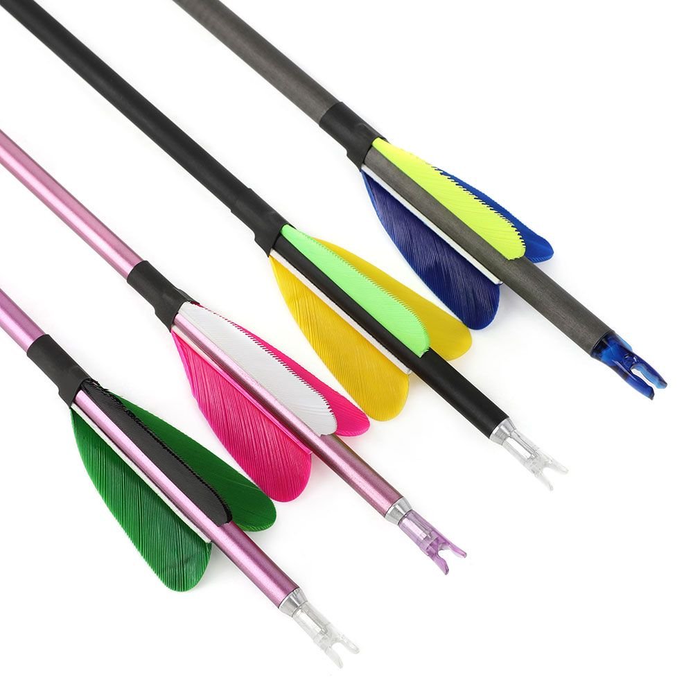 Fire Fox 2-inch Heart-Shaped True Feather Pure Carbon Arrows(12pcs)