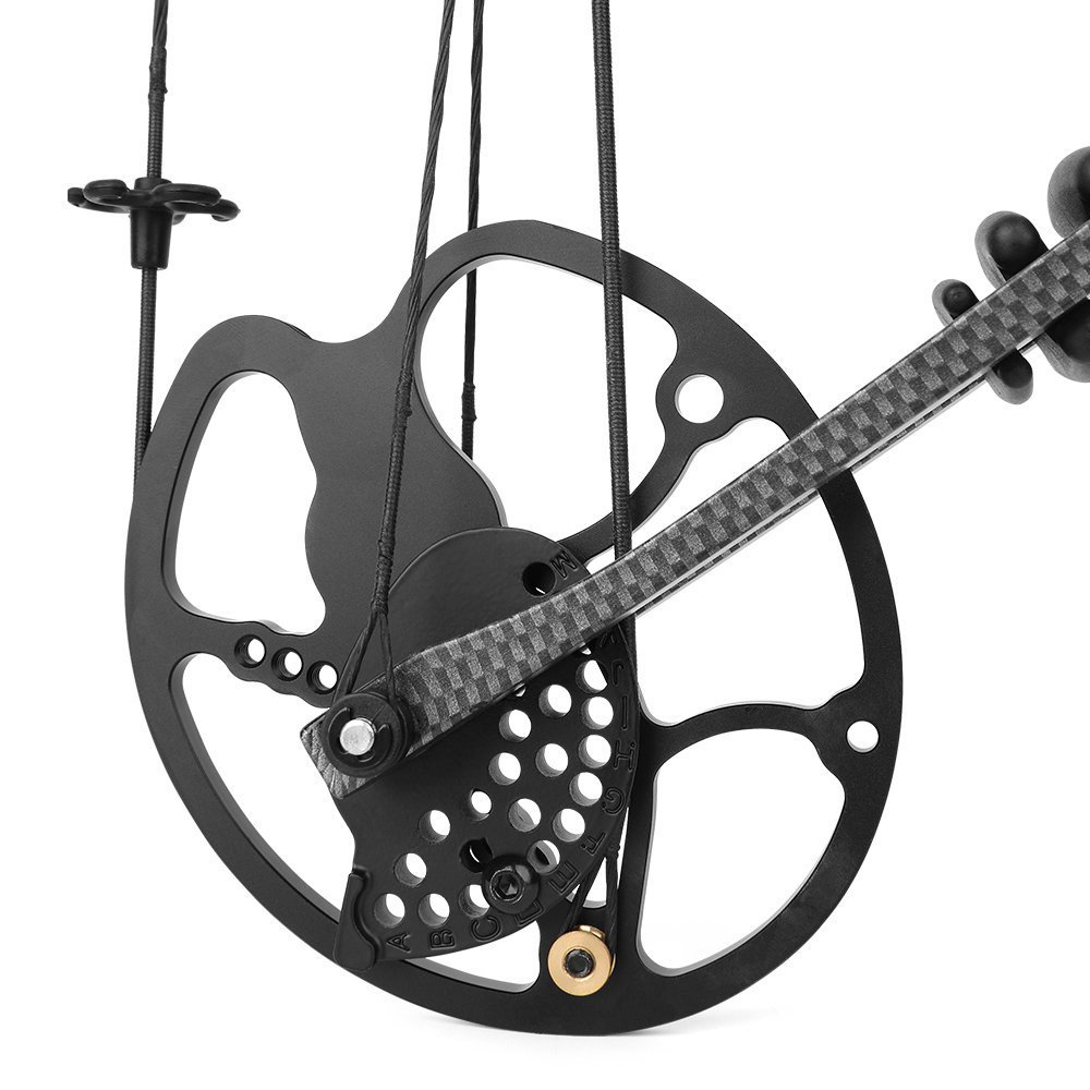JunXing Archery M193 Hunting Compound Bow Set
