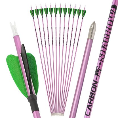 Fire Fox 2-inch Heart-Shaped True Feather Pure Carbon Arrows(12pcs)