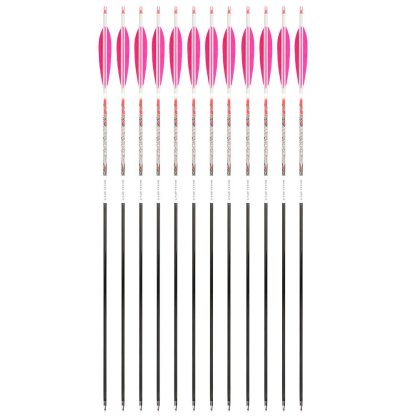 AME ARCHERY XT 5-Inch Target Feather Pure Carbon Arrows(12pcs)