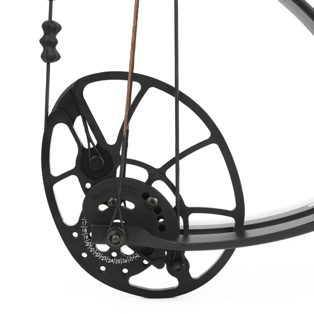 Bear Archery Legit RTH Compound Bow Set