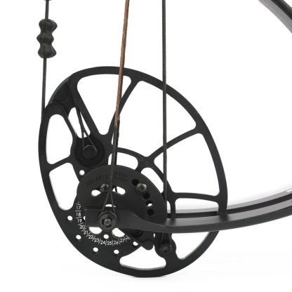 Bear Archery Legit RTH Compound Bow Set