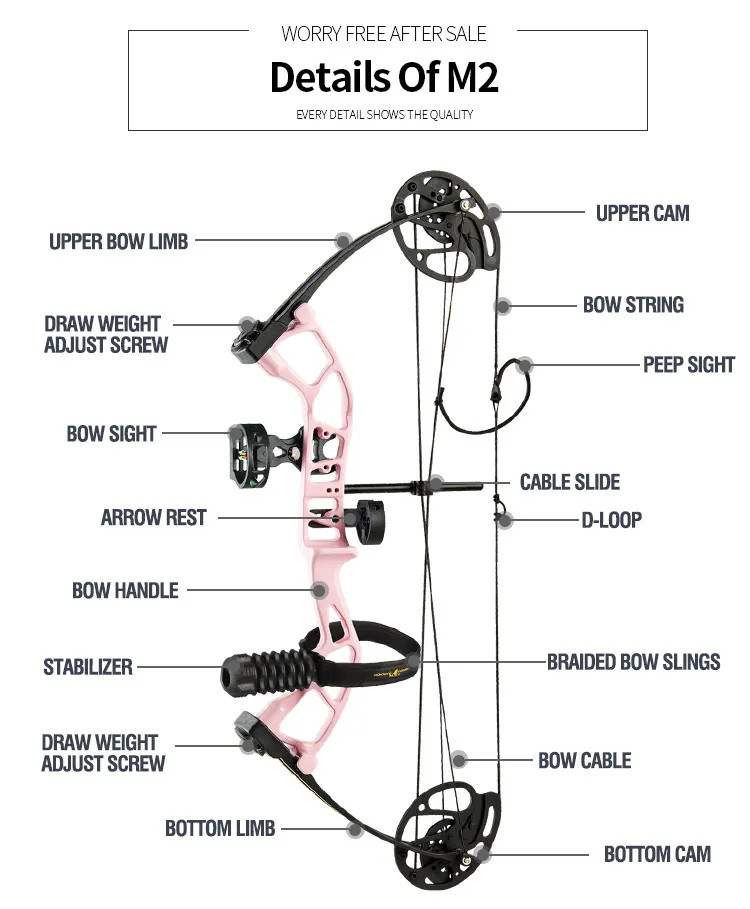 Topoint M2 Compound Bow – Lightweight & Adjustable for Children