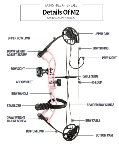 Topoint M2 Compound Bow – Lightweight & Adjustable for Children