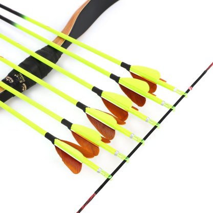 AME ARCHERY Heart-Shaped Nature Feather Pure Carbon Yellow Arrows(12pcs)
