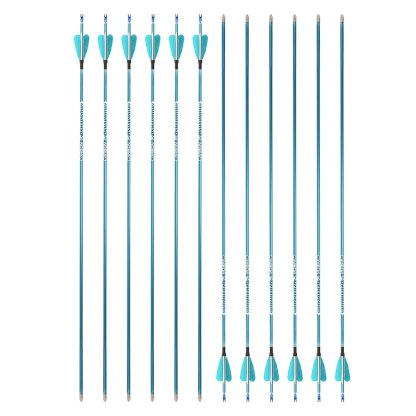 AME ARCHERY 1.75inch Fox 2" Heart-Shaped Feather Pure Carbon Arrows(12pcs)