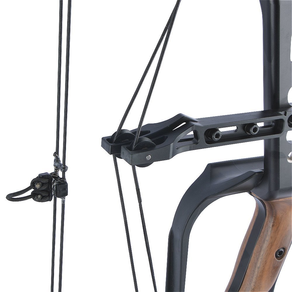 AME Archery Raptor Archery Steel Ball Dual-Purpose Compound Bow