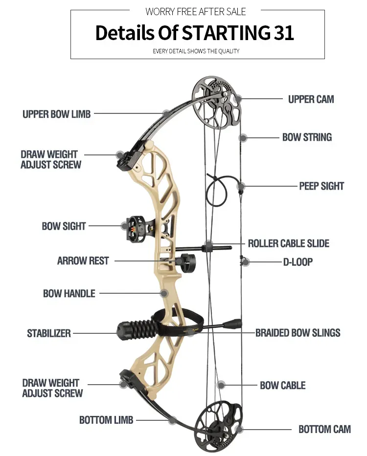 TOPOINT ARCHERY Starting 31 Hunting Compound Bow Package for Beginners