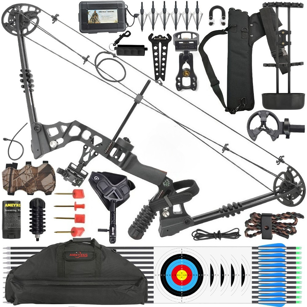 JUNXING ARCHERY Dragon X8 Compound Bow and Arrows Set